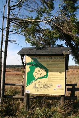 Hohes venn polleur venn 06 c eastbelgium.com