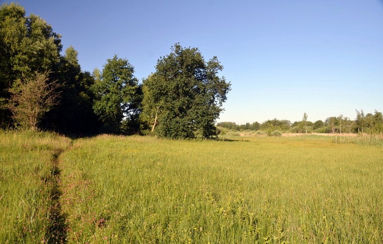 Marais_Fouches_P Willems_FTLB (9) - sans watermark