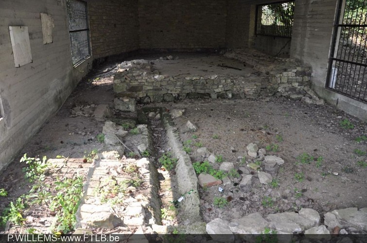 Archäologie-park: Basiliken und römische Thermen