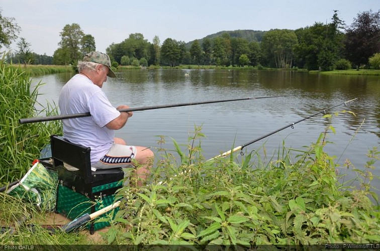 MESSANCY_Nature_Lac_P Willems_FTLB  (2).jpg