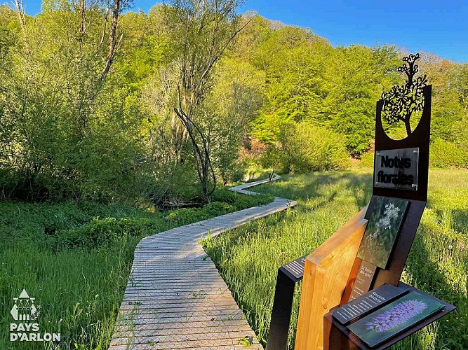 Nothomb_circuit caillebotis_AL_MT (21)_1200px_COPY ultra réduite