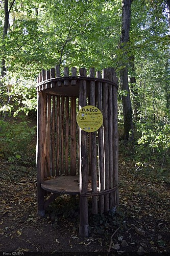 Parcours Octofun_MAB_MT (21).jpg