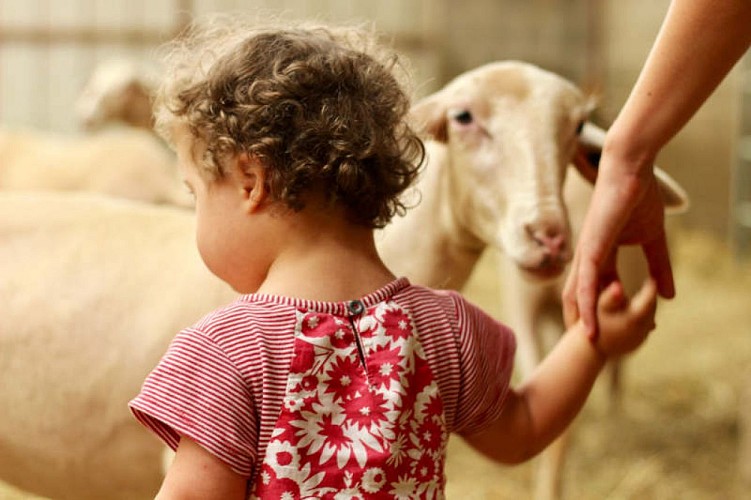 visite-ferme-pedagogiqueV