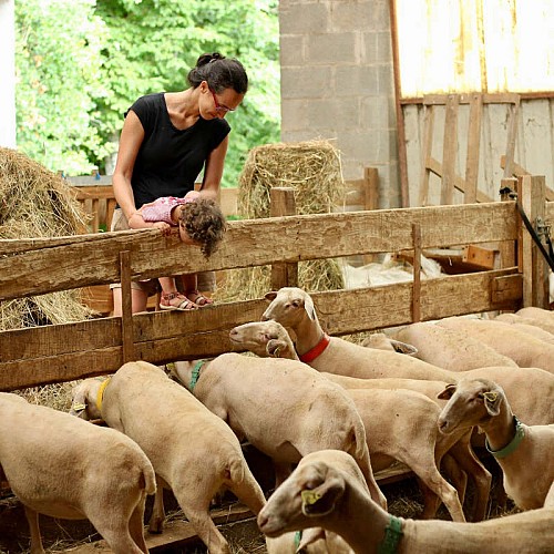 visite-ferme-pedagogiqueIII