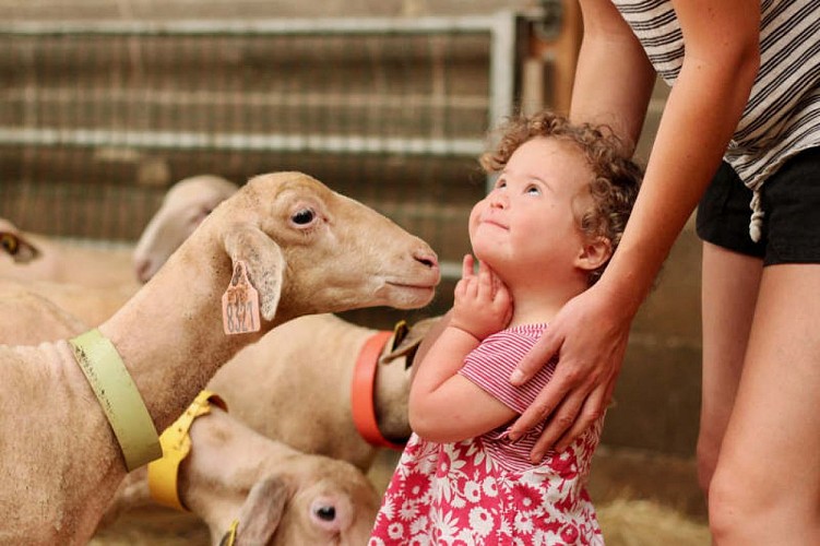 visite-ferme