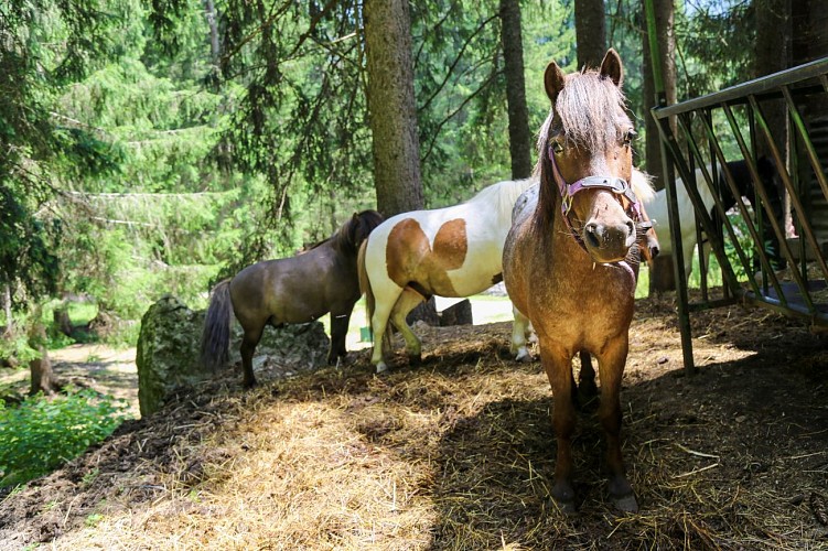 Imbiss am Paradis des Praz