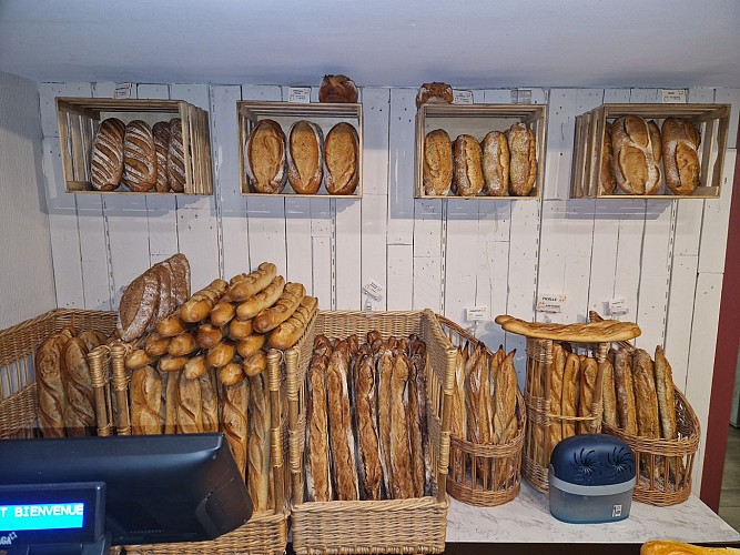 487220493_676607744876547_7555614538678607541_n