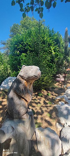 Lodges des Grands Chênes 