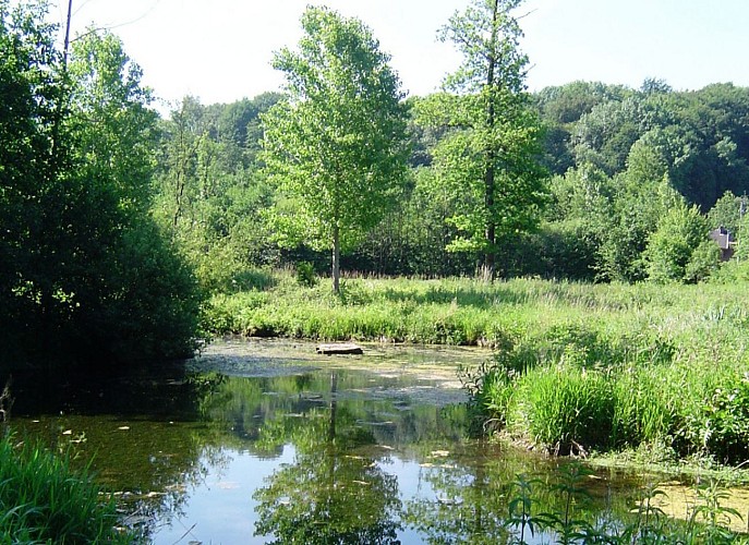 L'étang de Waligny (The Waligny pond)