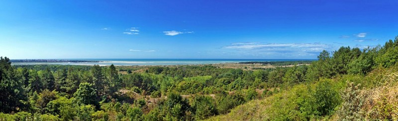 RÉSERVE NATURELLE DE LA BAIE DE CANCHE