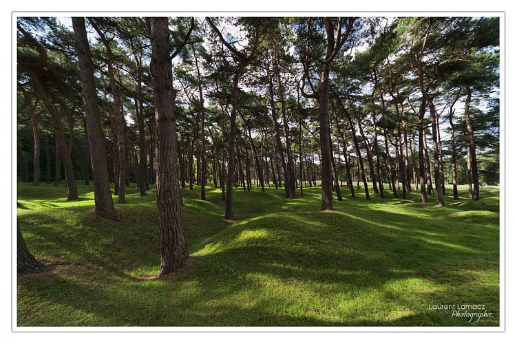 CANADIAN NATIONAL VIMY MEMORIAL