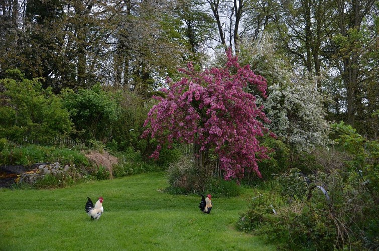 Pépinière-jardin Mela Rosa