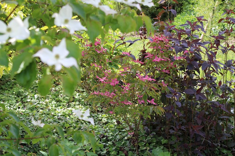 Jardin des Sous Avesnes