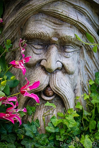 Le jardin des hayures