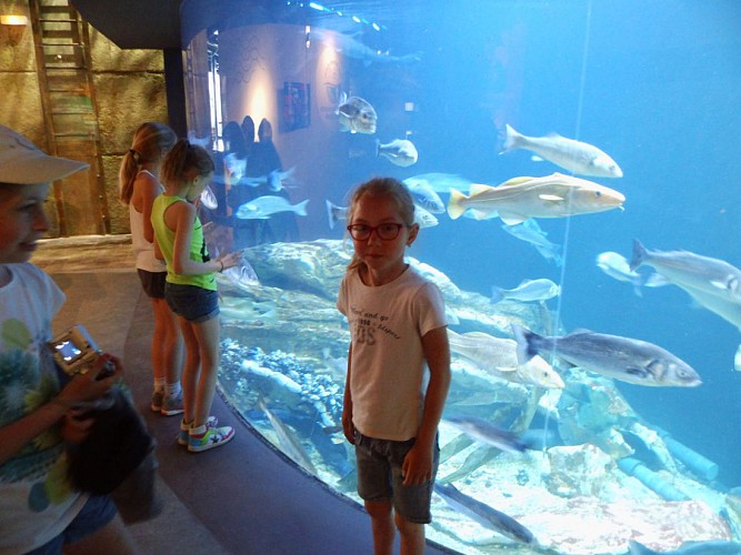 MARÉIS, CENTRE DE DÉCOUVERTE DE LA PÊCHE EN MER