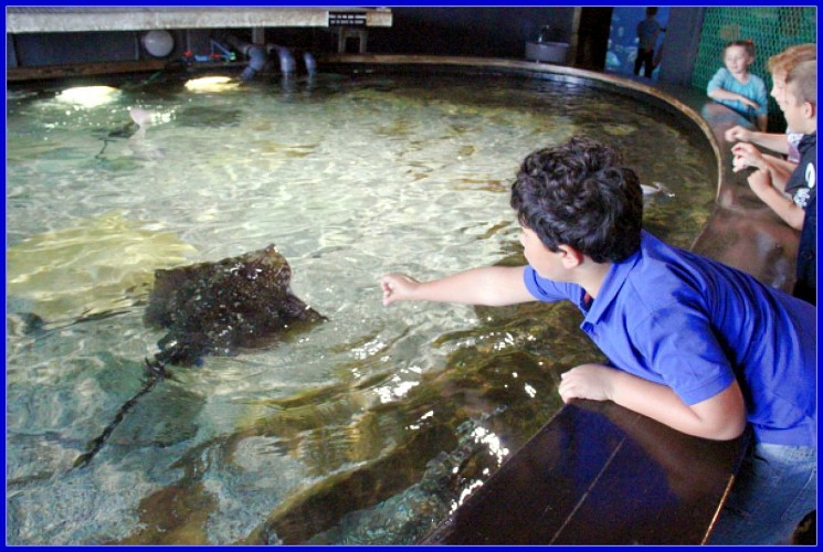 MARÉIS, CENTRE DE DÉCOUVERTE DE LA PÊCHE EN MER