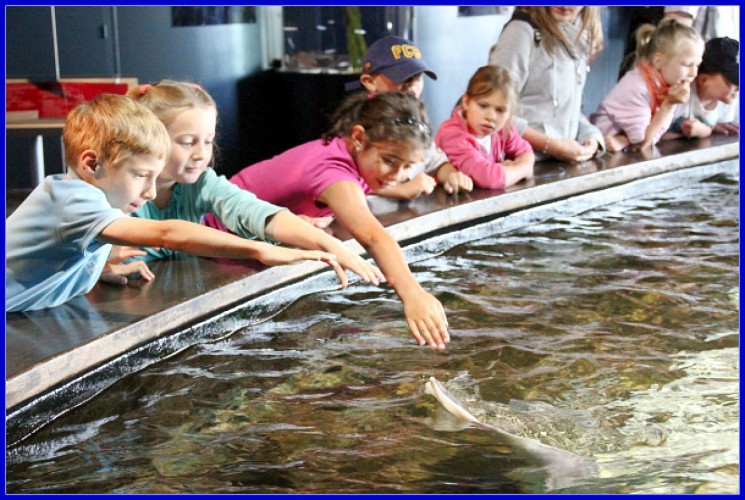 MARÉIS, CENTRE DE DÉCOUVERTE DE LA PÊCHE EN MER