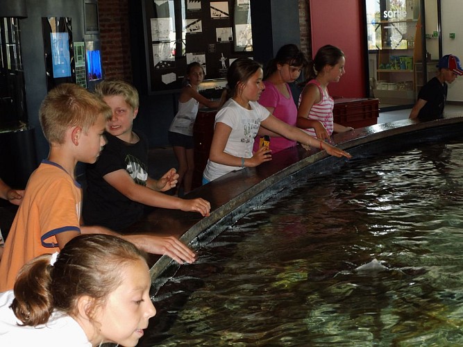 MAREIS : MUSEUM – AQUARIUM CENTRUM VOOR DE ZEEVISSERIJ