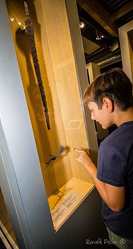 Azincourt 1415 - Le Moyen-Âge en 7 Vallées