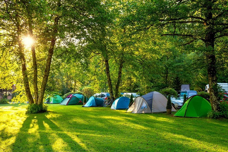 Camping - La route fleurie