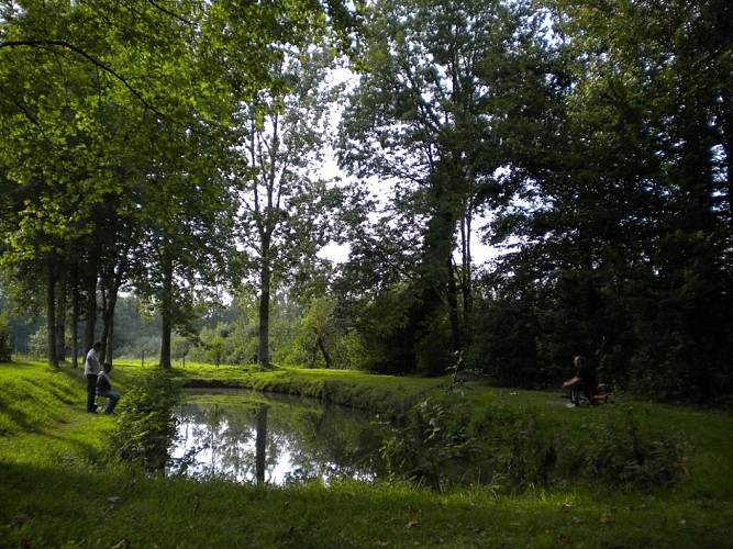 Camping - La route fleurie