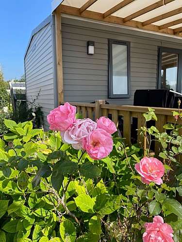 Camping Pomme de Pin