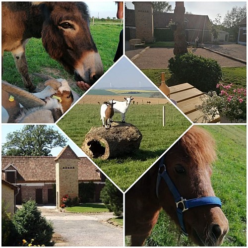 Le Domaine de Beauvois - L'Epi de Blé