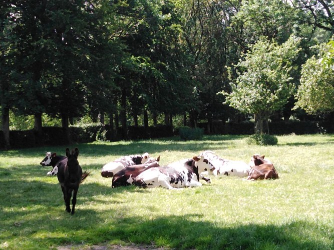 La Ferme des Tilleuls