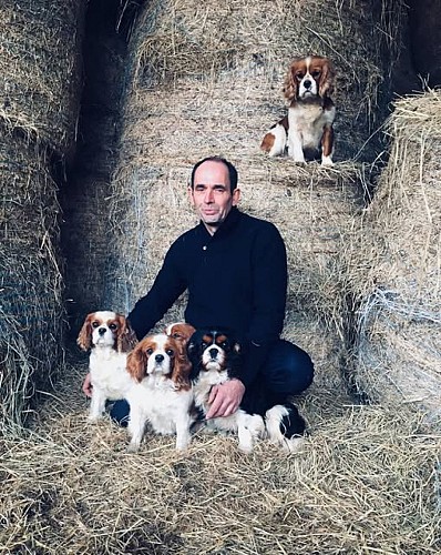 Gîte La Ferme du Coq aux Ânes