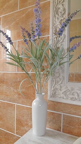 Gîte "À l'Accueil des Papillons"