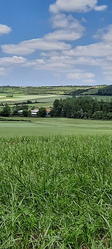Gîte à la Ferme Le Vivier
