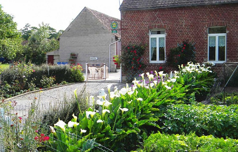 Le Bois Groult - Gîte