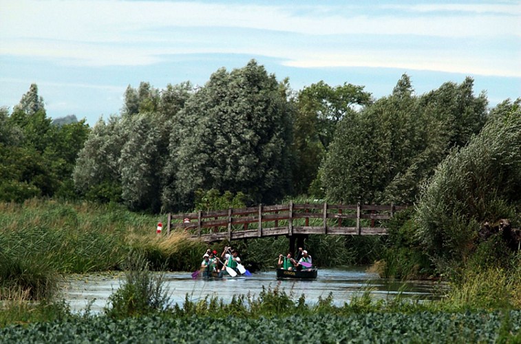 Croisière Ô Marais by Isnor