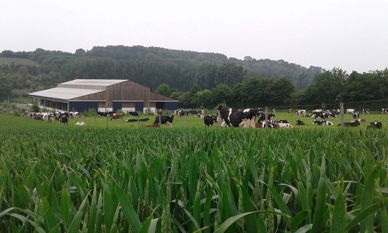 Ferme pédagogique - Bois des 12 deniers