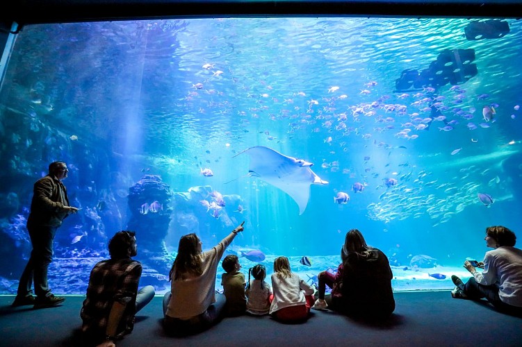 Nausicaá - Centre national de la Mer