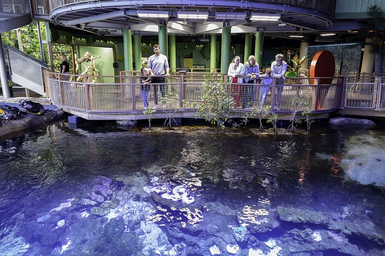 Nausicaá - Centre national de la Mer