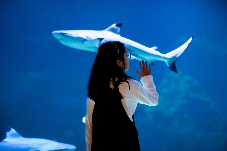 Nausicaá - Centre national de la Mer