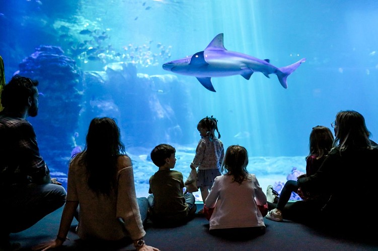 Nausicaá - Centre national de la Mer