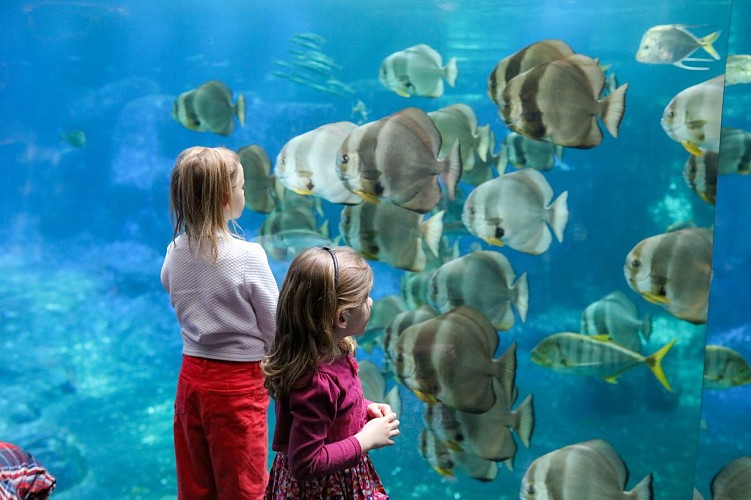 Nausicaá - Centre national de la Mer