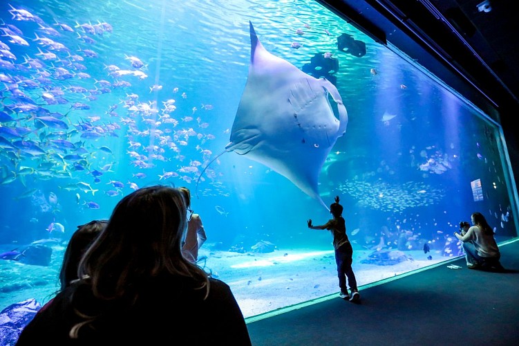 Nausicaá - Centre national de la Mer