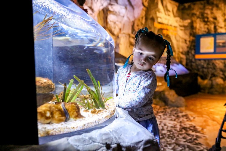 Nausicaá - Centre national de la Mer