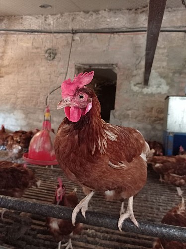 Ferme Le Fort Manoir