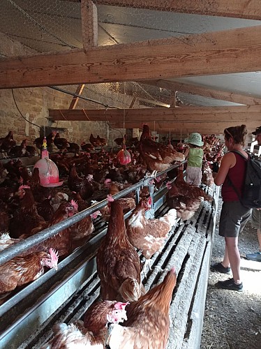 Ferme Le Fort Manoir