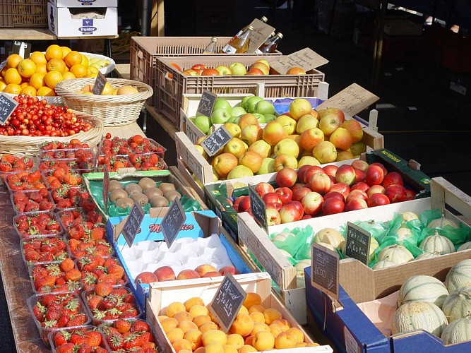 LES ÉTALS DE POISSONS FRAIS