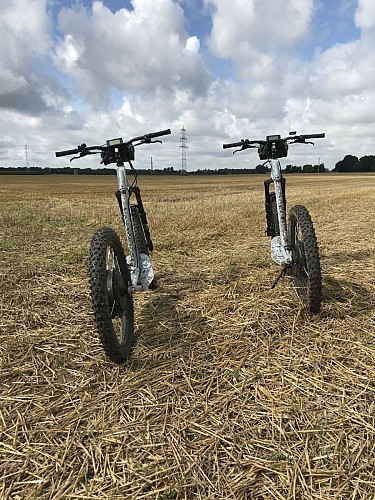 Trott dans champ ©Benoit Marx 08-2021