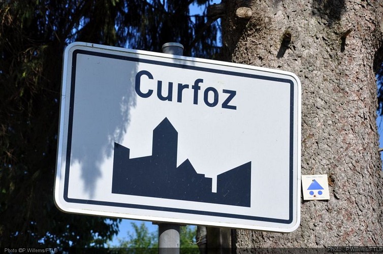 Curfoz2.jpg