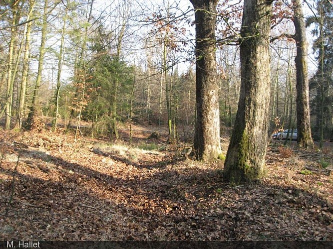 Anciennes tours de guet