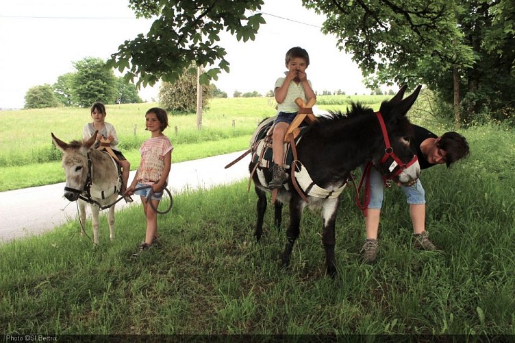 Bertrix - Bauet d'âne - enfants (Xavier Al Charif) (1).jpg