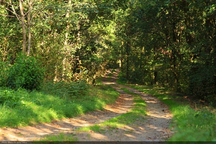 Entrée Mon Lit Dans l'Arbre