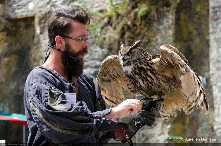 Fauconnerie 1. Aurélien Denieau.jpg